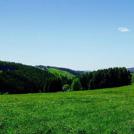 Ferienhauspark Σπίτι διακοπών Hasselfelde