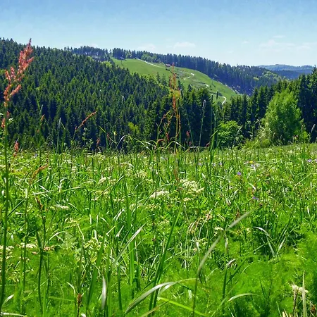 Ferienhauspark Hébergement de vacances